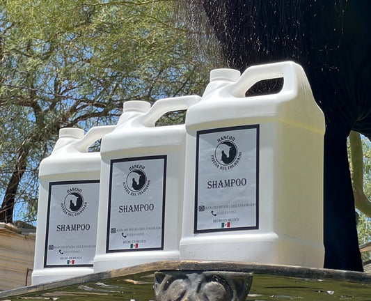 GALÓN SHAMPOO PARA CRECIMIENTO