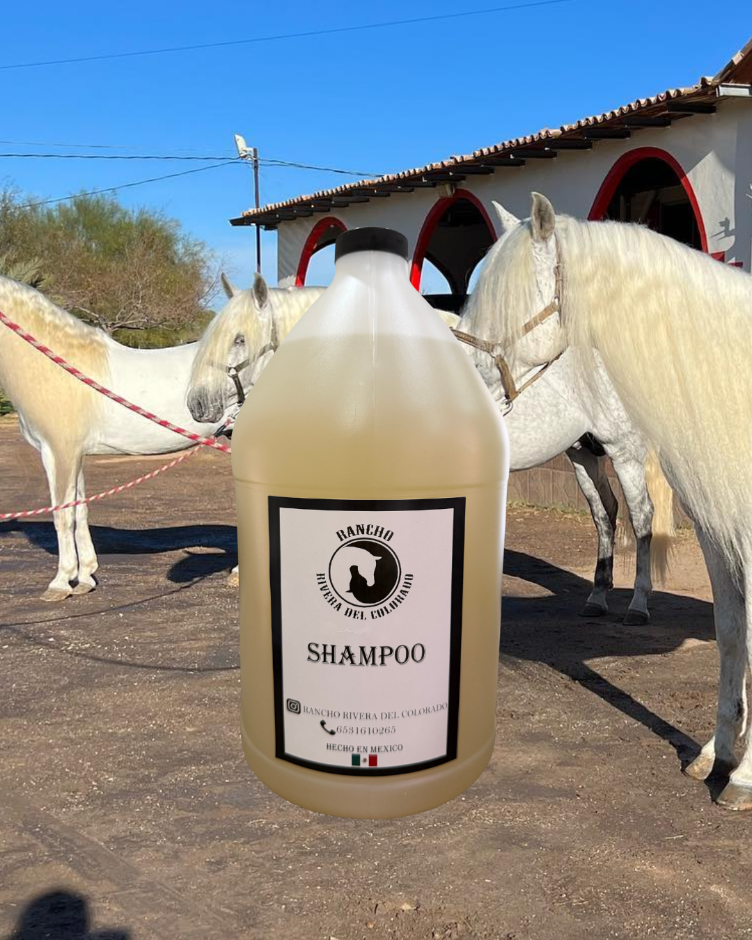 Shampoo para crecimiento de crin y cola – Rancho Rivera del Colorado