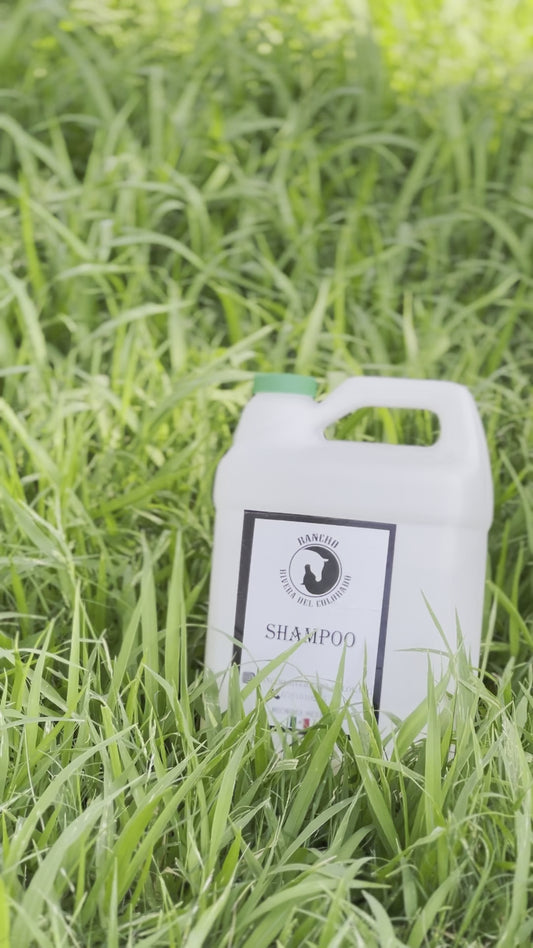 GALÓN SHAMPOO PARA CRECIMIENTO